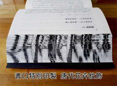 【每日讀詩詞】唐詩鑑賞辭典（第一卷）：雲想衣裳花想容 圖片 3
