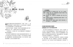 青少年身心療癒處方箋：第一本結合心理、食療、穴道按摩的青少年療癒百科，陪孩子走過動盪的青春期 圖片 6