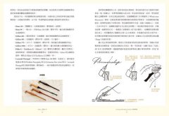 史賓賽聖經：美國國寶級書法大師教你寫一手最正統的優雅美字 圖片 5