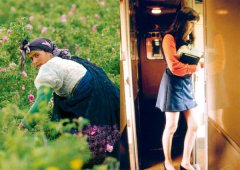 穿得像個女人？限制到解放，工作女性百年寫真 圖片 3