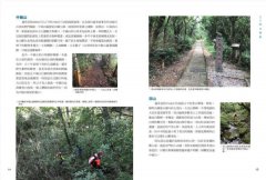 跑山〔野練必備〕：12條跑者修煉之路，挑戰土坡、水徑、山梯、峽谷多樣地形 圖片 4