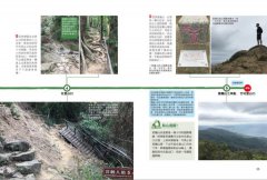 跑山〔野練必備〕：12條跑者修煉之路，挑戰土坡、水徑、山梯、峽谷多樣地形 圖片 8