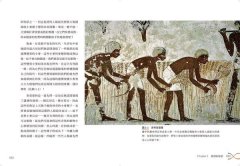 上帝的手術刀：基因編輯懸疑簡史 圖片 4