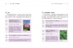 女人專科芳療全書：芳療天后Gina告訴你，女人一生必備的精油全配方 圖片 9