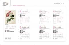 女人專科芳療全書：芳療天后Gina告訴你，女人一生必備的精油全配方 圖片 11