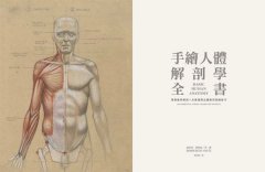手繪人體解剖學全書：專業醫學解剖+文藝復興立體幾何繪畫技巧 圖片 3