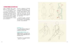 手繪人體解剖學全書：專業醫學解剖+文藝復興立體幾何繪畫技巧 圖片 9