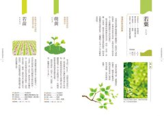 日本傳統色名帖：京都顏料老舖‧「上羽繪惣」絕美和色250選 圖片 9