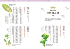 日本傳統色名帖：京都顏料老舖‧「上羽繪惣」絕美和色250選 圖片 10
