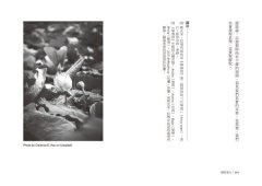 業力：掙脫心的束縛 圖片 5