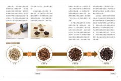 尋味咖啡：跟著杯測師認識咖啡36味，找到最對味的咖啡 圖片 6