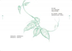瑜伽修行語錄：雖然默默無言，卻又道盡一切 圖片 6