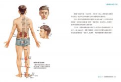 人體經絡自癒手冊：徒手疏通易堵穴位，輕鬆調理百病 圖片 9
