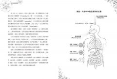 阿育吠陀原理：自我修復的科學 圖片 3