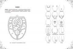 阿育吠陀原理：自我修復的科學 圖片 6