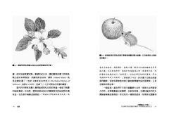 花園裡的小宇宙：生物學家帶我們觀察與實驗，探索植物的祕密生活 圖片 3