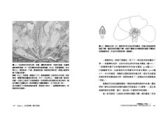 花園裡的小宇宙：生物學家帶我們觀察與實驗，探索植物的祕密生活 圖片 5
