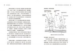消化系統淨化全書：黏糊糊的腸道是所有疾病的根源，讓美國最強「淨化醫生」，從根拯救你的健康 圖片 4
