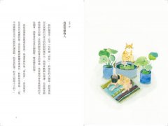 跟一棵樹聊天，聽他的人生哲學：溝通師的37堂植物療癒通心課 圖片 2