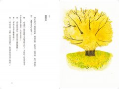 跟一棵樹聊天，聽他的人生哲學：溝通師的37堂植物療癒通心課 圖片 3