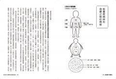 兒童健康中醫講堂：結合三焦能量觀及西方心理學，奠定孩子的好體質 圖片 5