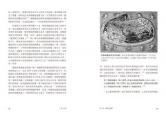 人機文明傳：一部技術枴點上的世界通史 圖片 4
