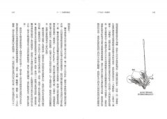 三千分之一的森林：微觀苔蘚，找回我們曾與自然共享的語言 圖片 9