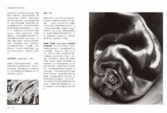 解讀攝影大師：認識他們的創作人生、觀點與作品觀看之道 圖片 5