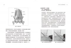 疼痛、復健與肌力訓練全書：亞斯診療法教你一次只練一塊肌肉，揮別惱人代償問題，讓真正需要鍛鍊的肌肉變強壯！ 圖片 4