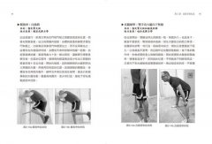疼痛、復健與肌力訓練全書：亞斯診療法教你一次只練一塊肌肉，揮別惱人代償問題，讓真正需要鍛鍊的肌肉變強壯！ 圖片 5