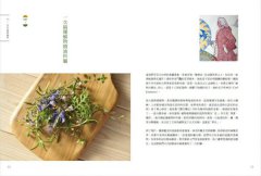 芳療天后Gina給你 全家人的芳香精油治療聖經：慢性病控制、癌症復元、神經復健、呼吸防護，建立家的芳香醫藥箱，養出全家好體質 圖片 3