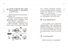 1分鐘物理2：皮卡丘發的是直流電還是交流電？ 圖片 5