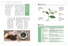 英式下午茶的慢時光〔全新增訂版〕：維多利亞式的紅茶美學×沖泡美味紅茶的黃金法則 圖片 5