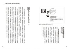 藝術顧問寫給職場工作者的「邏輯式藝術鑑賞法」：運用五種思考架構，看懂藝術，以理性鍛鍊感性 圖片 6