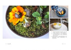 Hungry渴望：Noma傳奇主廚的世界尋味冒險，帶你深度體驗野地食材的風味、採集與料理藝術 圖片 5