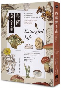 真菌微宇宙：看生態煉金師如何驅動世界、推展生命，連結地球萬物 圖片 1