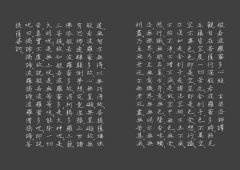 寫心經【25k標準本】：108遍己願成就版。靜心寫字，透過筆尖進入內心安靜的宇宙 圖片 5