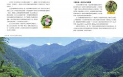 手作步道：體驗人與自然的雙向療癒。特別收錄［手作步道・全方位工具箱〕【千里步道系列1暢銷增訂版】 圖片 7