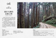 手作之道：築路，與自然對話的山徑美學【千里步道系列2】 圖片 4