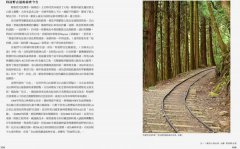 手作之道：築路，與自然對話的山徑美學【千里步道系列2】 圖片 5