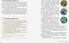 手作之道：築路，與自然對話的山徑美學【千里步道系列2】 圖片 6
