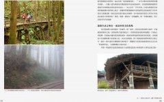 手作之道：築路，與自然對話的山徑美學【千里步道系列2】 圖片 7