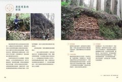 手作之道：築路，與自然對話的山徑美學【千里步道系列2】 圖片 9