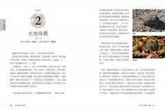 春花媽宇宙藥輪（特典珍藏版：附贈36張動物能量牌卡＋絨布束口袋）：守護動物指引你探索自我、發揮天賦，學習與生命圓滿相融【特別收錄：台灣動物藥輪】 圖片 8