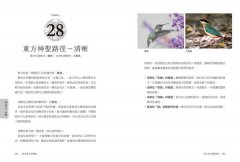 春花媽宇宙藥輪（特典珍藏版：附贈36張動物能量牌卡＋絨布束口袋）：守護動物指引你探索自我、發揮天賦，學習與生命圓滿相融【特別收錄：台灣動物藥輪】 圖片 10