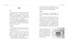 瑜伽與動禪：VINYĀSA的流動藝術 圖片 7