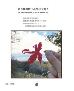 一葉一世界：日本藝術家的89個迷你葉雕童話 圖片 2
