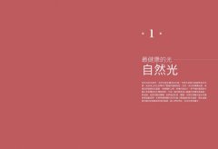 光與健康：以實證設計為根基，引領全球光與照明的研究與應用 圖片 4