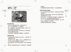 靈性動物完全指南：召喚守護力量，連結宇宙訊息 圖片 5