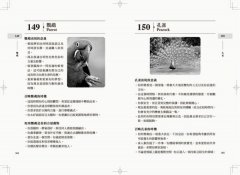 靈性動物完全指南：召喚守護力量，連結宇宙訊息 圖片 7
